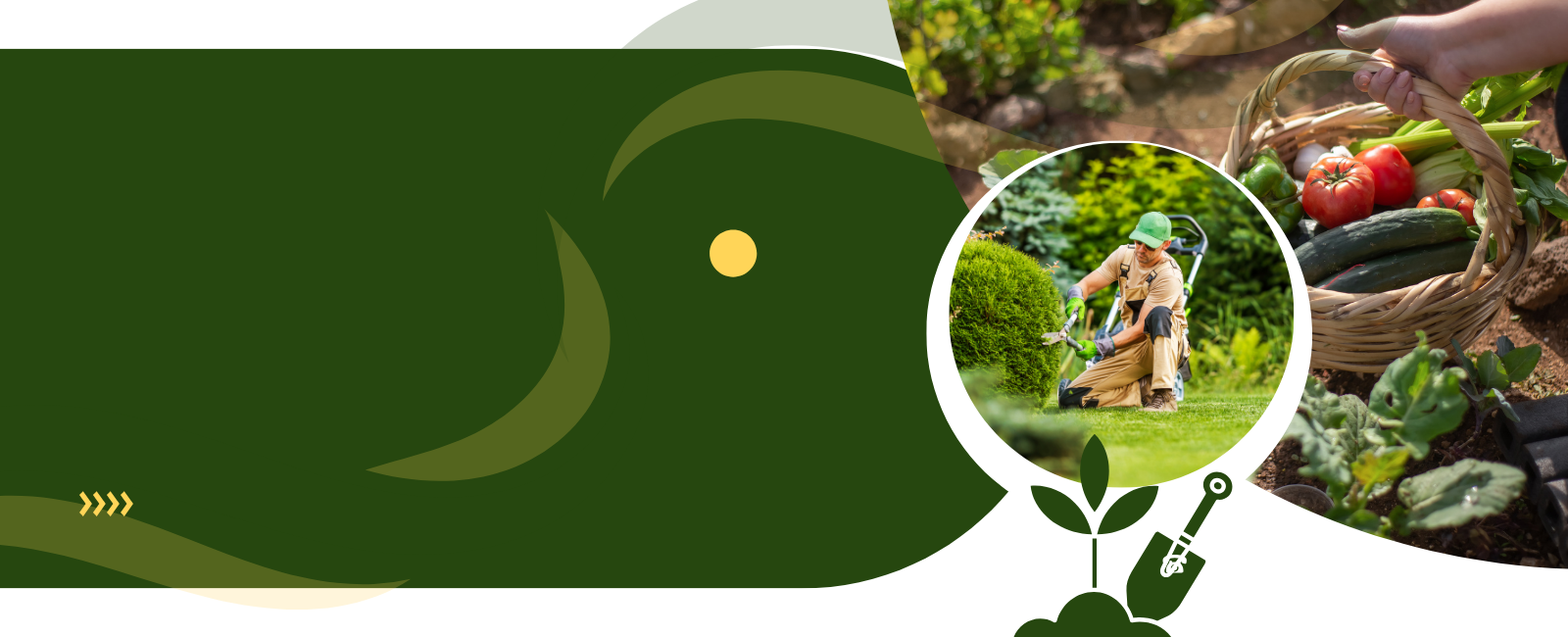 Apple Plant - Image 9