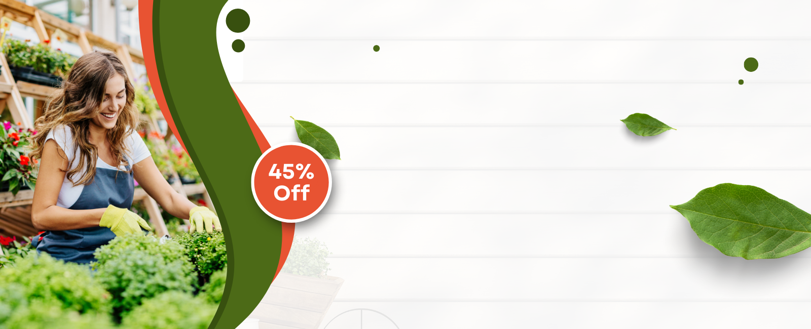 Apple Plant - Image 7