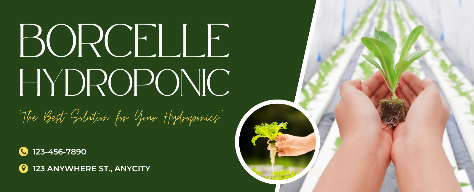 Apple Plant - Image 3